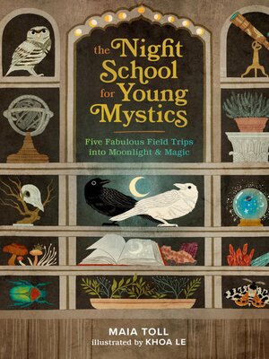 The Night School for Young Mystics - ebook